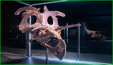 Unveiling Paul Sidoti's Net Worth: Discoveries And Insights